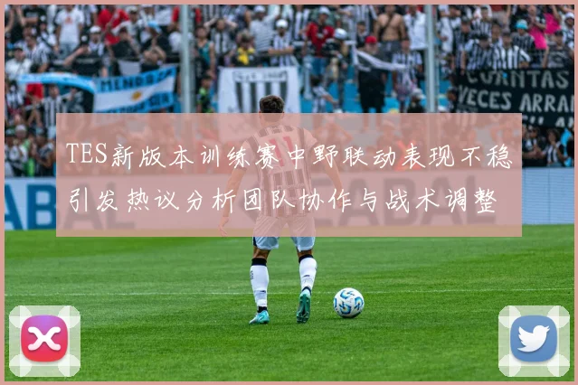 TES新版本训练赛中野联动表现不稳引发热议分析团队协作与战术调整必要性